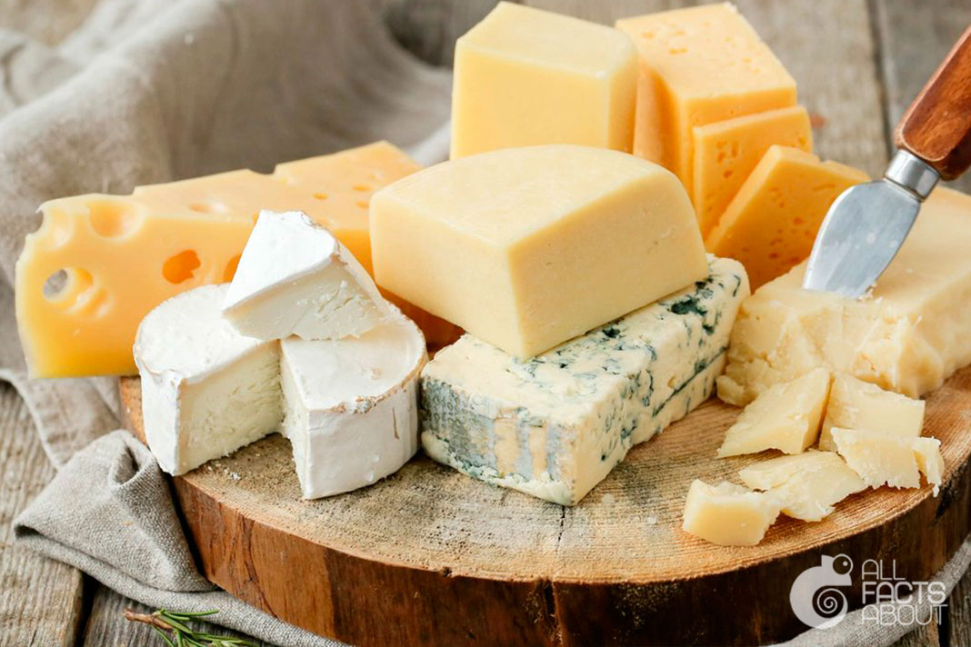 All facts about Cheese