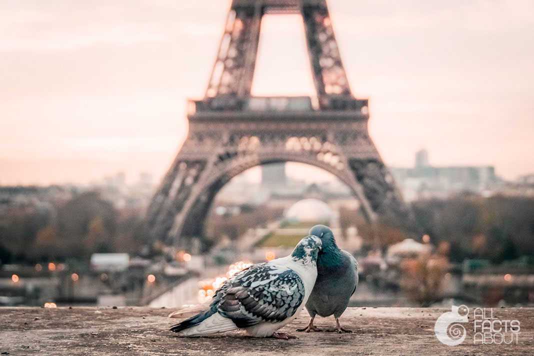 Paris is a city of love