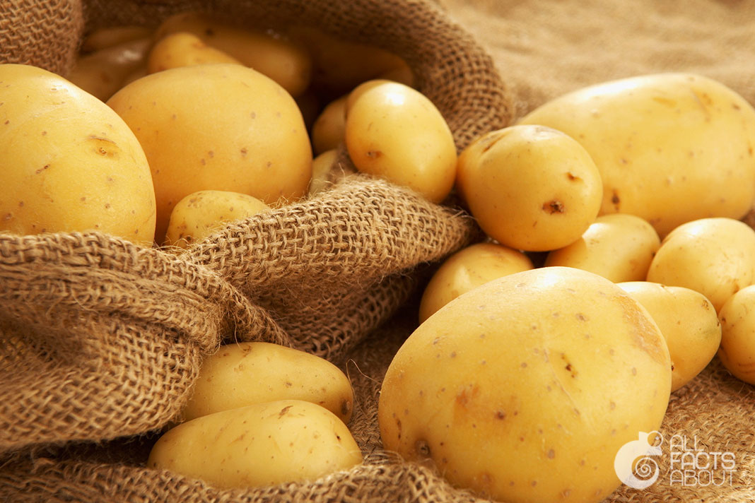 All facts about Potatoes