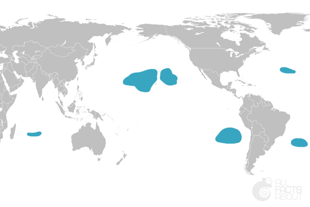 Ocean garbage patches map