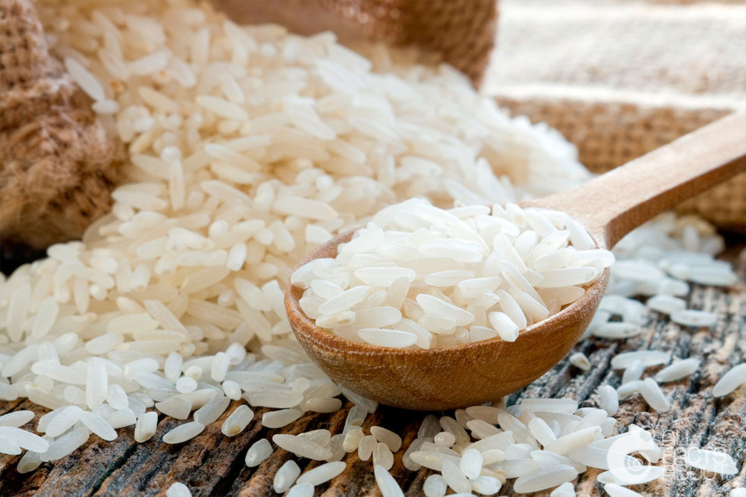 All facts about Rice