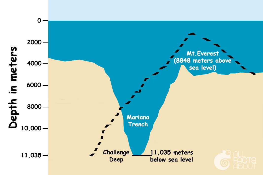 Mariana Trench deeper than the height of Mt Everest